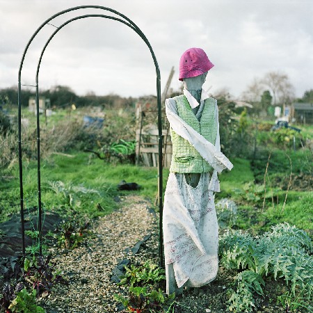 allotments 03