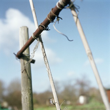 allotments 10