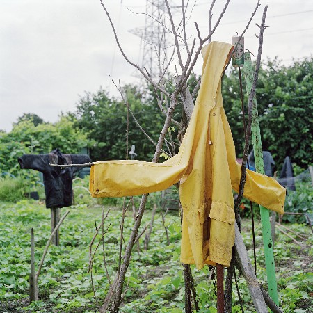 allotments 19