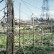 allotments 02